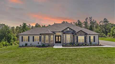 40050 DARLINGTON AVENUE, LADY LAKE, FL 32159