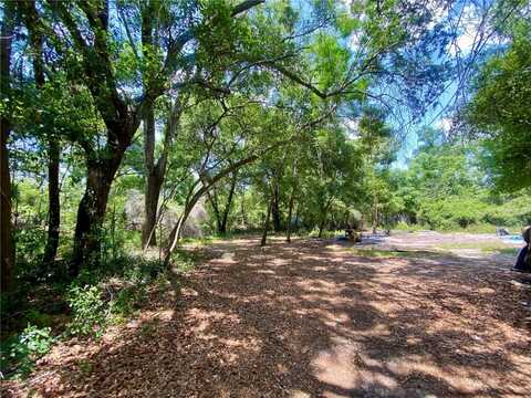 910 S LAKE PLEASANT ROAD, APOPKA, FL 32703