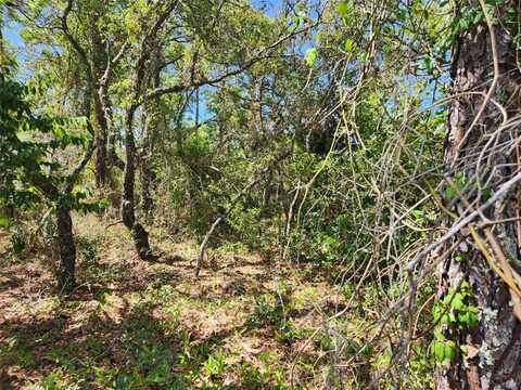 0 DAY OWL AVENUE, WEEKI WACHEE, FL 34613