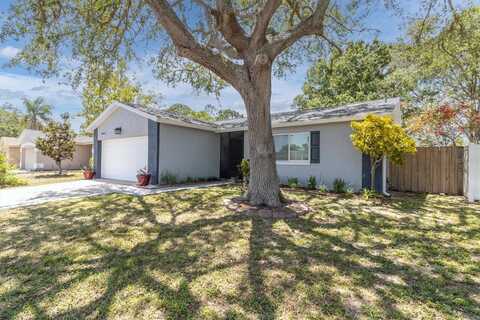 1428 CHESTERFIELD DRIVE, DUNEDIN, FL 34698
