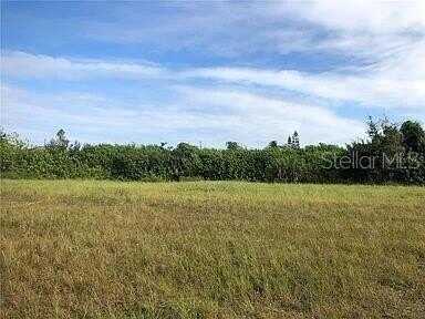 339 NE 19TH TERRACE, CAPE CORAL, FL 33909