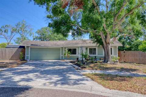 506 SUMMERWOOD COURT, TARPON SPRINGS, FL 34689
