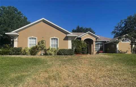 11301 VIA MARI CAE COURT, CLERMONT, FL 34711