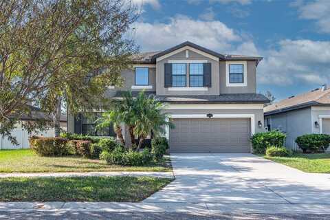 11525 SCARLET IBIS PLACE, RIVERVIEW, FL 33569