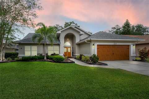 905 CLEARCREEK DRIVE, TAMPA, FL 33613