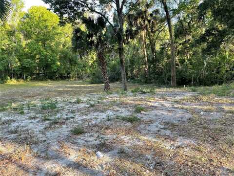 PARK AVENUE, DE LEON SPRINGS, FL 32130
