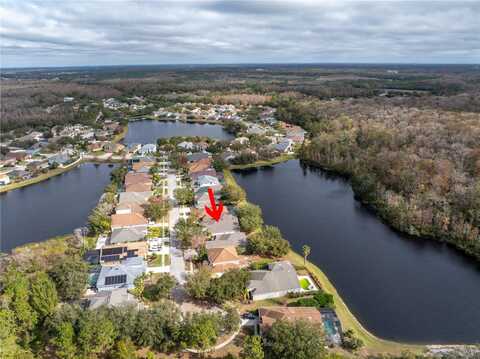 10506 SKY FLOWER COURT, LAND O LAKES, FL 34638