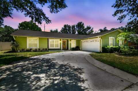 4161 ROLLING SPRINGS DRIVE, TAMPA, FL 33624