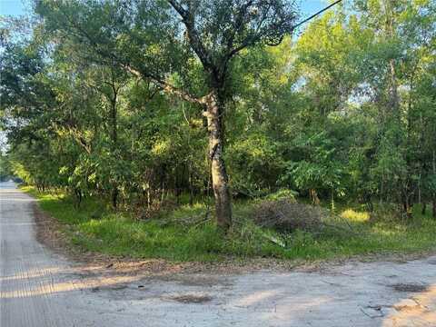 NE RIVER RIDGE AVENUE, ARCADIA, FL 34266