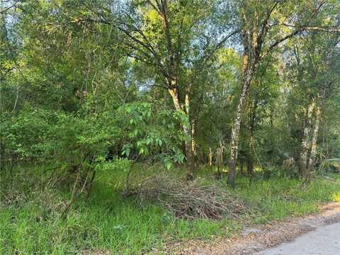 NE RIVER MILL DRIVE, ARCADIA, FL 34266