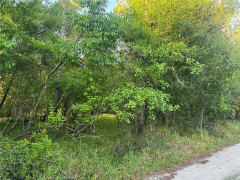 1297 NE RIVER RAFT DRIVE, ARCADIA, FL 34266