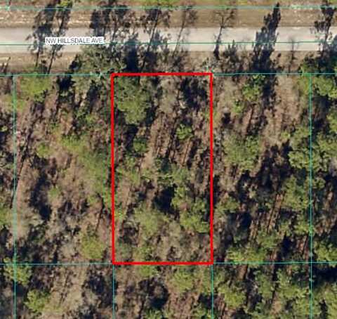 Tbd NW HILLSDALE AVE, DUNNELLON, FL 34431