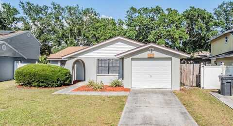 16309 CALIENTE PLACE, TAMPA, FL 33624