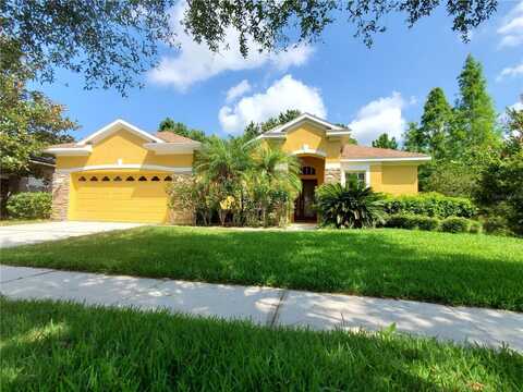 12825 CASTLEMAINE DRIVE, TAMPA, FL 33626