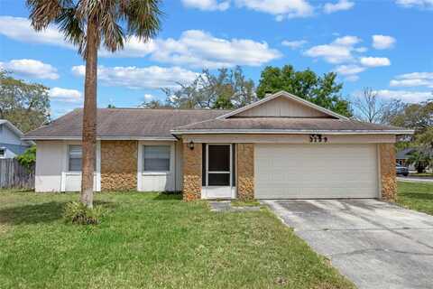 3199 TOBAGO COURT, APOPKA, FL 32703