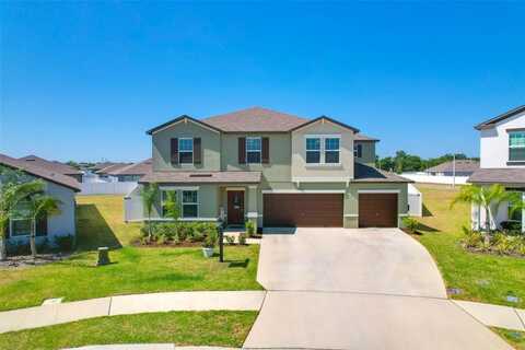 2995 FLYING BLACKBIRD ROAD, BARTOW, FL 33830