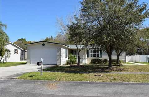 11312 BRUSSELS BOY LANE, RIVERVIEW, FL 33578