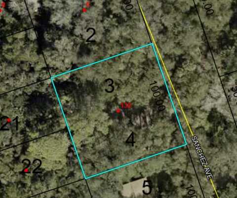 132 SANCHEZ AVENUE, PALM COAST, FL 32137