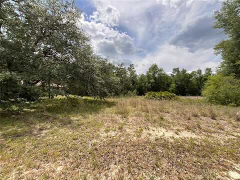 34331 RIM ROCK STREET, WEBSTER, FL 33597