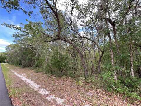 FACULTY STREET, WEBSTER, FL 33597