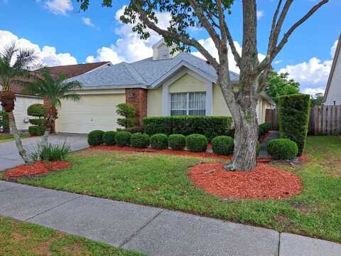 313 MORNING CREEK CIRCLE, APOPKA, FL 32712