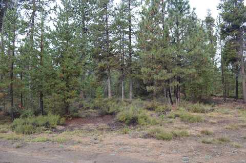 Hwy 97, Gilchrist, OR 97737