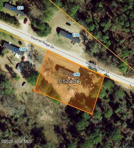 0 Arrington Bridge Road, Dudley, NC 28333