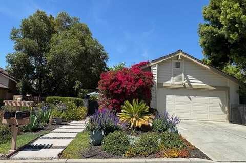 7133 Via Solana, SAN JOSE, CA 95135