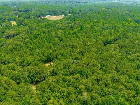 Tract 1 Ellistown Road, Jackson, GA 30233