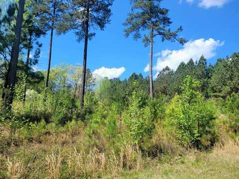 653 Parham Rd, Milledgeville, GA 31061