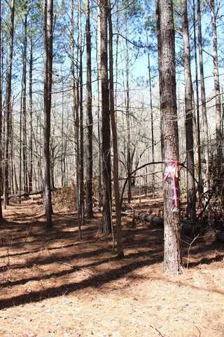 0 Jackson Gin Rd, Harrison, GA 31035