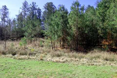 Lt. 22 PEACH BLOSSOM RD., Sparta, GA 31087