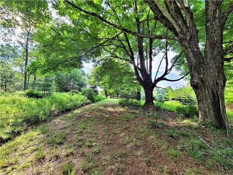 Tbd Mitchel Road, White Lake, NY 12786