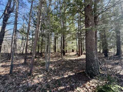 Lot 141516 York Street, Kennebunk, ME 04043