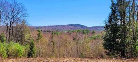 4 Youngs Road, Canton, ME 04221