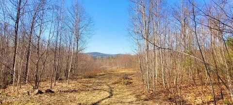Lot 1 Wyatts Way, Livermore, ME 04253