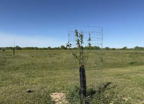 TBD Lot 3 Wild West Place, Belle Fourche, SD 57717