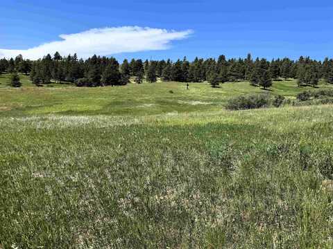 11 Tower Ridge Drive, Devils Tower, WY 82714