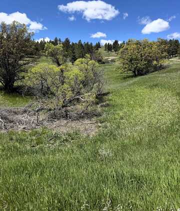 11 Tower Ridge Drive, Devils Tower, WY 82714