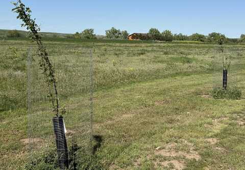 TBD Lot 4 Wild West Place, Belle Fourche, SD 57717