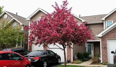 1373 Grayshire Court, Elgin, IL 60120