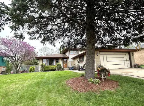 10539 S Vicky Lane, Palos Hills, IL 60465