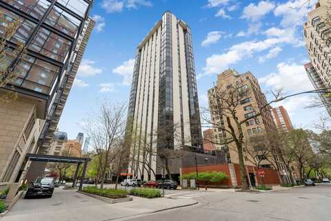 1310 N Ritchie Court, Chicago, IL 60610