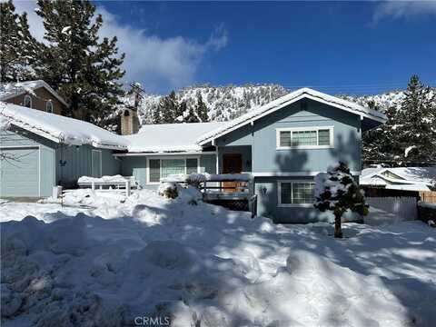 784 Apple Avenue, Wrightwood, CA 92397