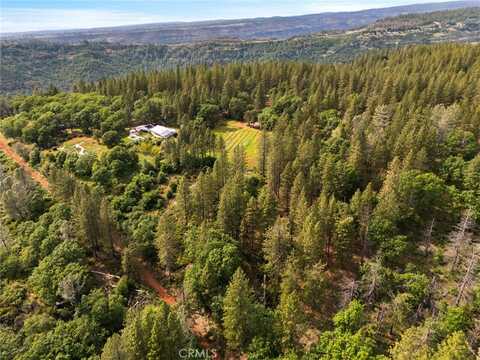 14 Wendlis Road, Forest Ranch, CA 95942
