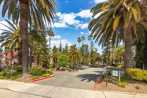 185 Sierra Drive, Walnut Creek, CA 94596