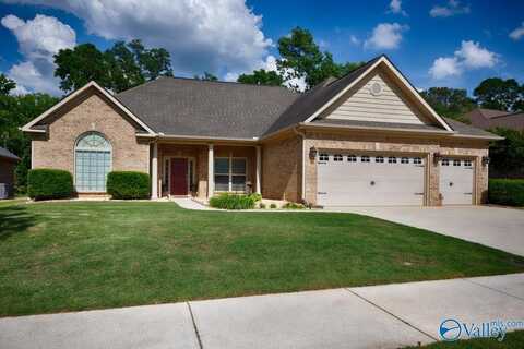 7311 Sanctuary Cove Drive SE, Owens Cross Roads, AL 35763