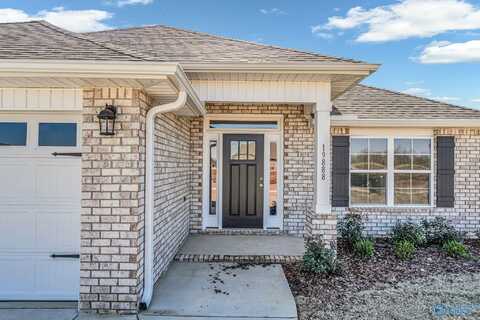 19888 Redhawk Drive, Athens, AL 35611