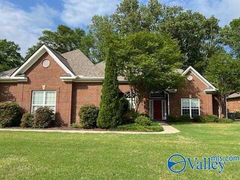 4733 Autumn Dusk Drive, Owens Cross Roads, AL 35763