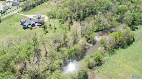 14535 Dupree Worthey Road, Harvest, AL 35749
